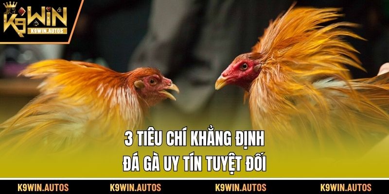 3 tiêu chí khẳng định đá gà uy tín tuyệt đối