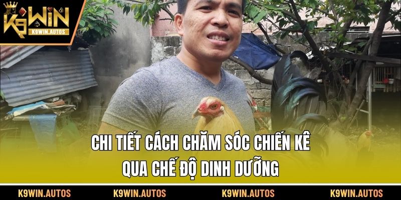 Chi tiết cách chăm sóc chiến kê qua chế độ dinh dưỡng