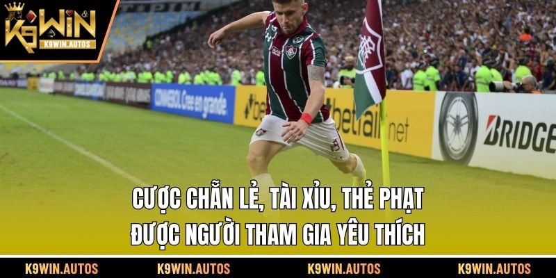 Cược chẵn lẻ, tài xỉu, thẻ phạt được người tham gia yêu thích