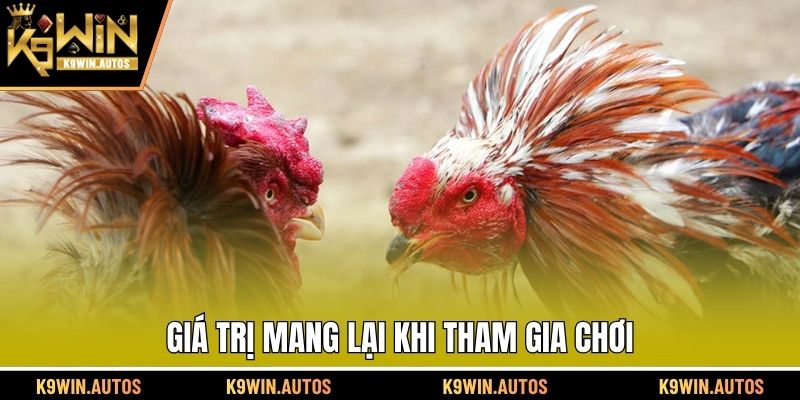 Giá trị mang lại khi tham gia chơi