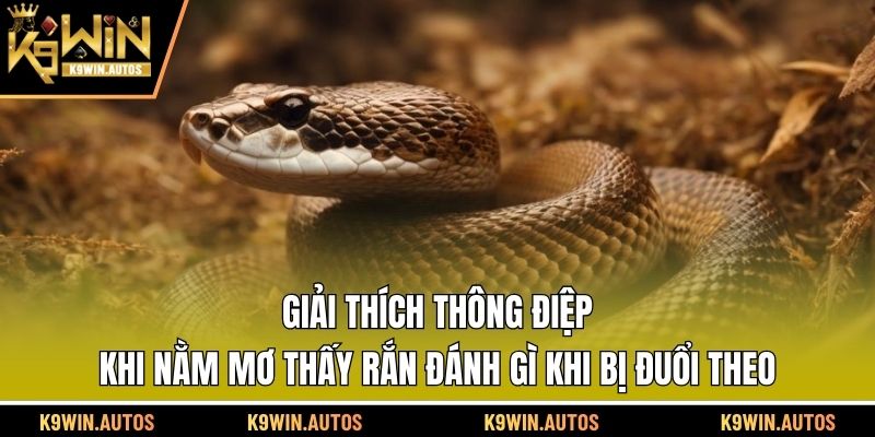 Giải thích thông điệp khi nằm mơ thấy rắn đánh gì khi bị đuổi theo