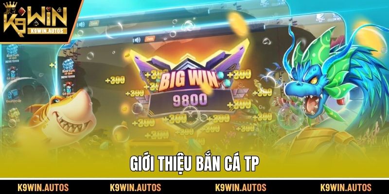 Giới thiệu bắn cá TP