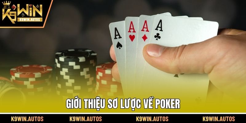 Giới thiệu sơ lược về Poker