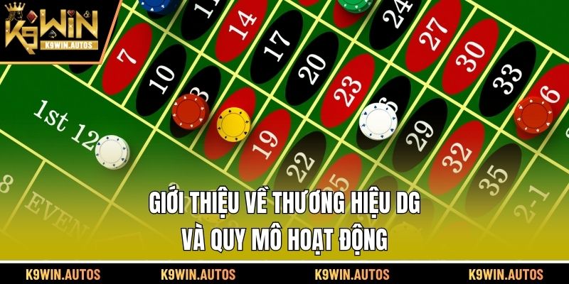 Giới thiệu về thương hiệu DG và quy mô hoạt động