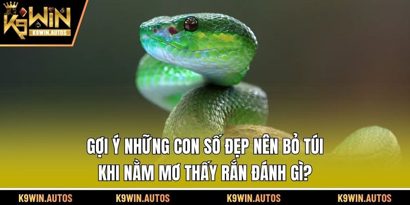 Gợi ý những con số đẹp nên bỏ túi khi nằm mơ thấy rắn đánh gì?