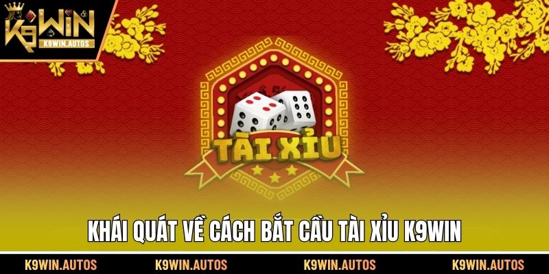 Khái quát về cách bắt cầu tài xỉu