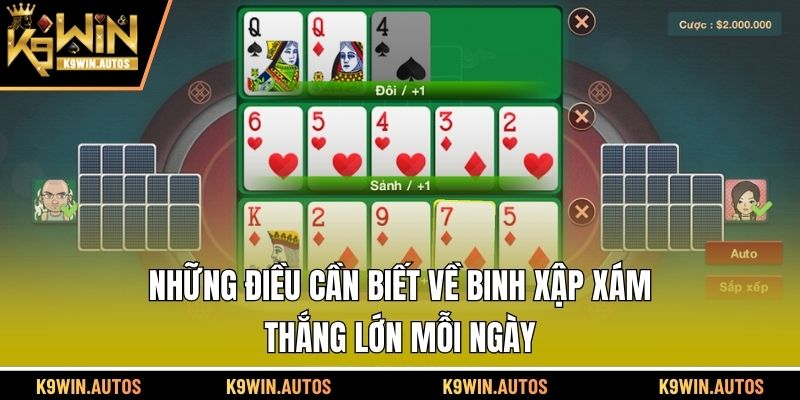 Những điều cần biết về binh xập xám