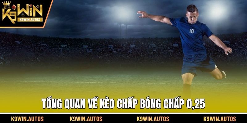 Tổng quan về kèo bóng chấp 0,25